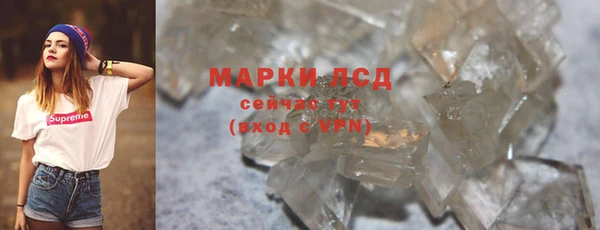 PSILOCYBIN Лагань