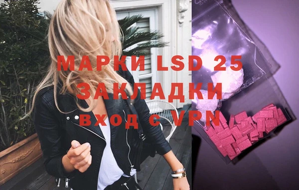 PSILOCYBIN Лагань
