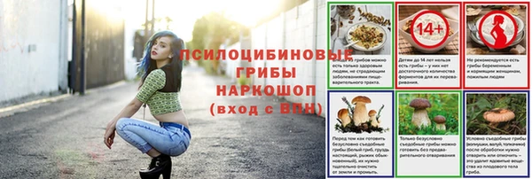 СК Ладушкин